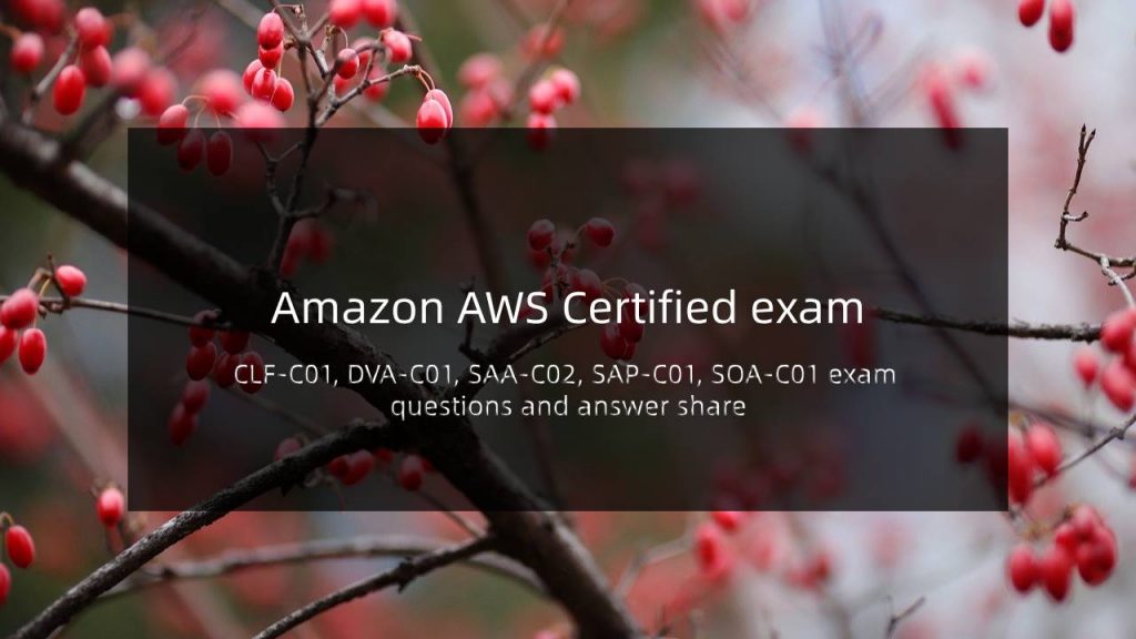 Amazon AWS exam questions and answer share